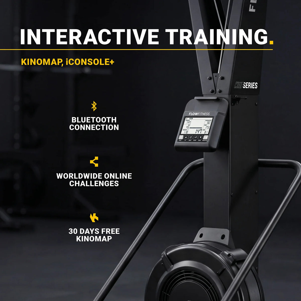 Flow Fitness Perform Pro Ski Trainer