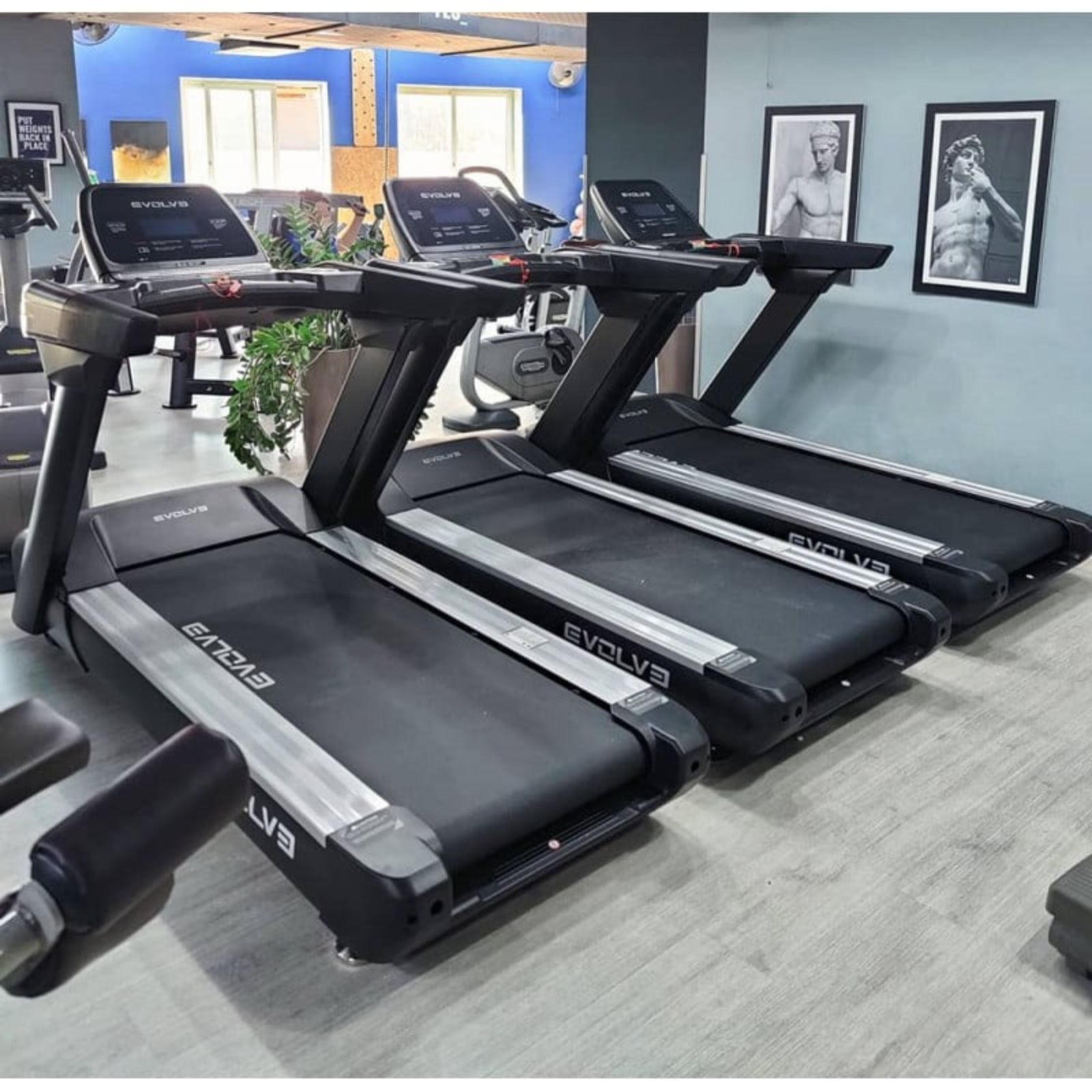 Evolve Fitness Econ Series CT-500-LCD Profi-Laufband