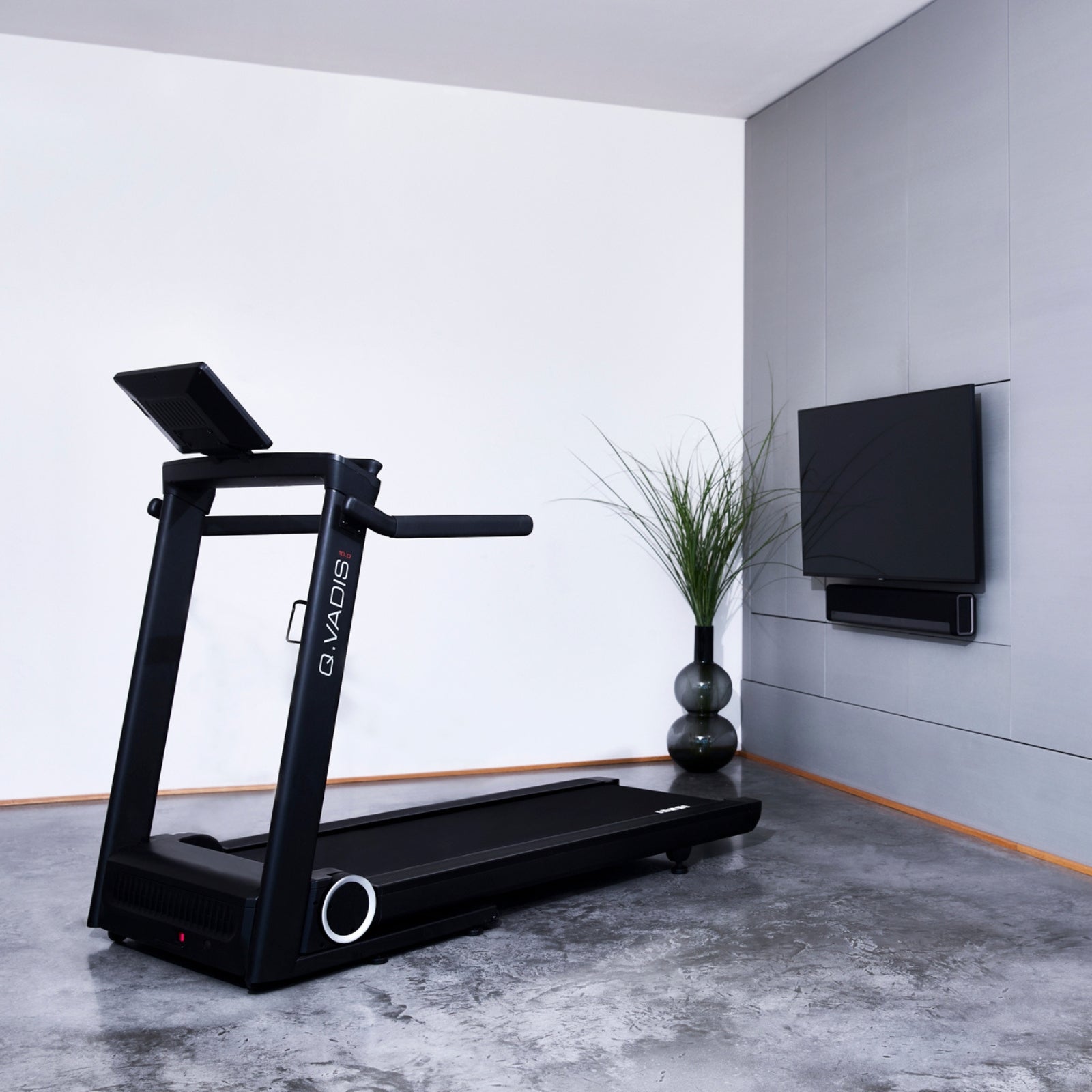 Hammer Q. Vadis 10.0 Laufband