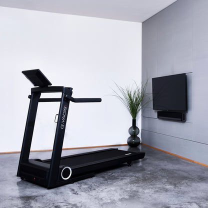 Hammer Q. Vadis 10.0 Laufband