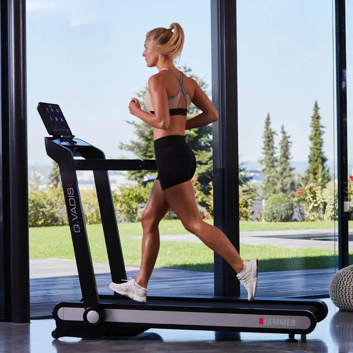 Hammer Q. Vadis 3.0 Laufband