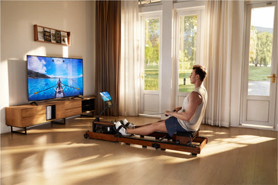 KingSmith WalkingPad WR3L Rudergerät