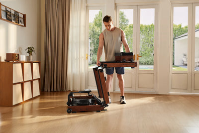 KingSmith WalkingPad WR3L Rudergerät