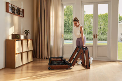 KingSmith WalkingPad WR3L Rudergerät