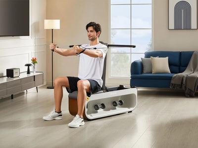 KingSmith WalkingPad Multifunktionale Fitnessbank