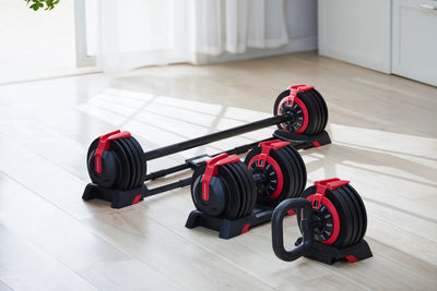 KingSmith WalkingPad verstellbare Kurzhanteln - 2 bis 24 kg