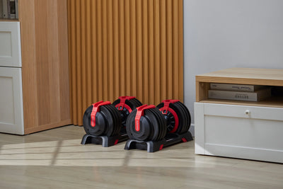 KingSmith WalkingPad verstellbare Kurzhanteln - 2 bis 24 kg