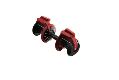 KingSmith WalkingPad verstellbare Kurzhanteln - 2 bis 24 kg