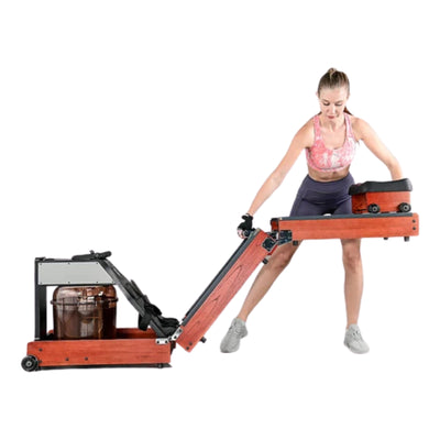 KingSmith WalkingPad WR1 Rudergerät
